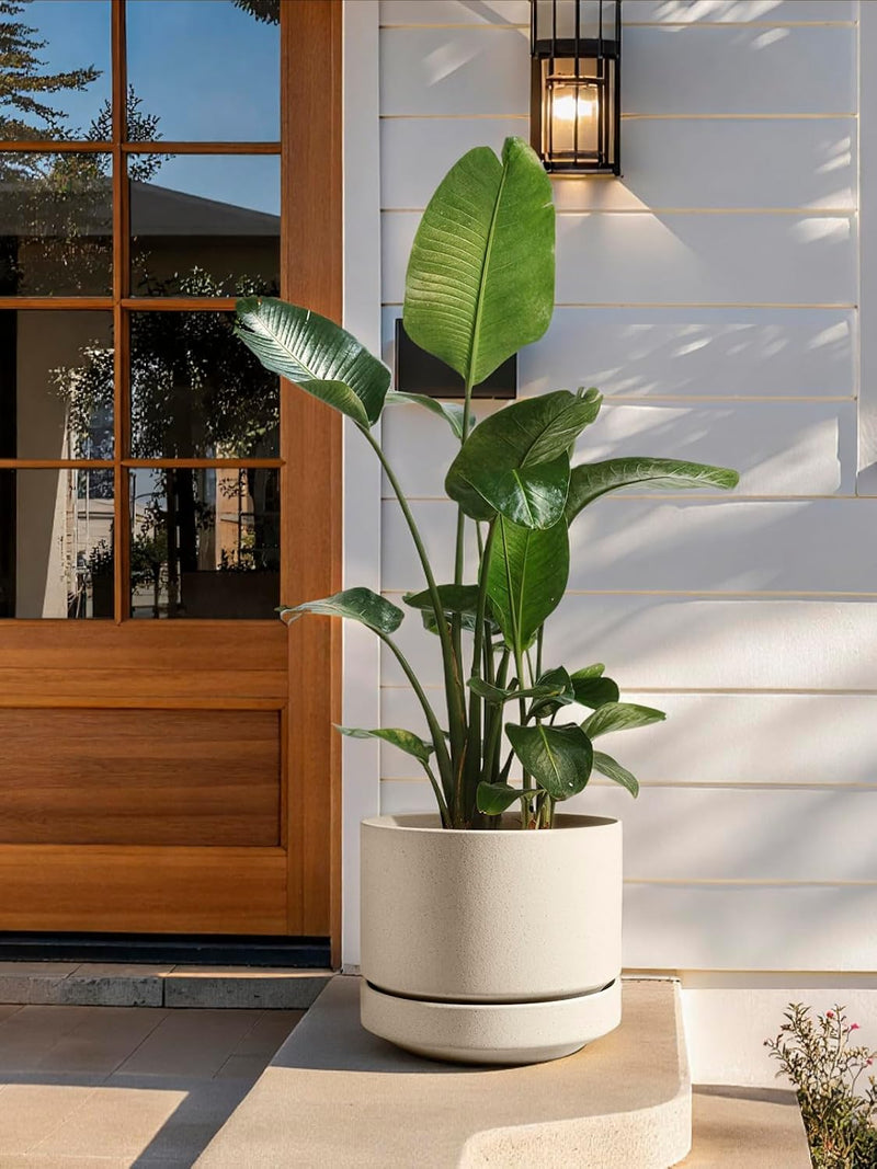 Large Plant Pot with Saucer Ceramic