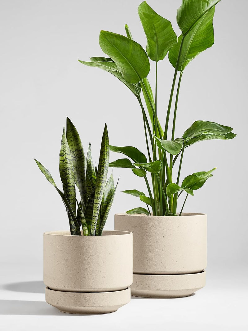 Large Plant Pot with Saucer Ceramic