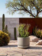 Large Plant Pot with Saucer Ceramic