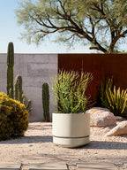 Large Plant Pot with Saucer Ceramic