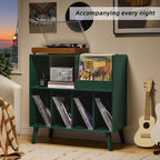 Large Record Stand with Storage and Shelf Vinyl