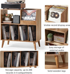 Large Record Stand with Storage and Shelf Vinyl
