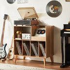 Large Record Stand with Storage and Shelf Vinyl