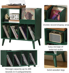 Large Record Stand with Storage and Shelf Vinyl