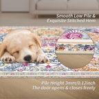 Large Rugs for Living Room