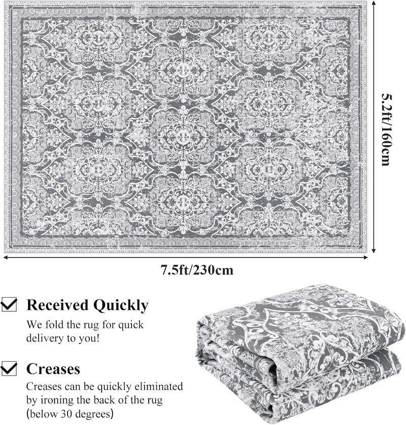 Large Rugs for Living Room