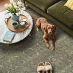 Large Rugs for Living Room Extra Area