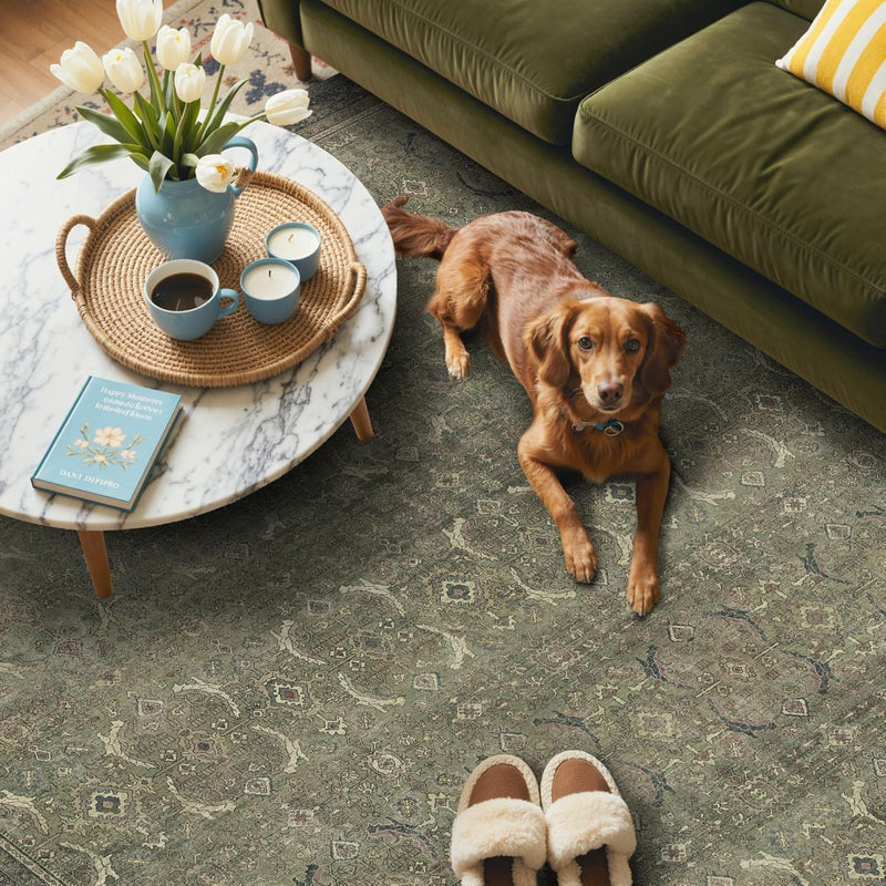 Extra Large Rug Oat Taupe Washable Non-Slip