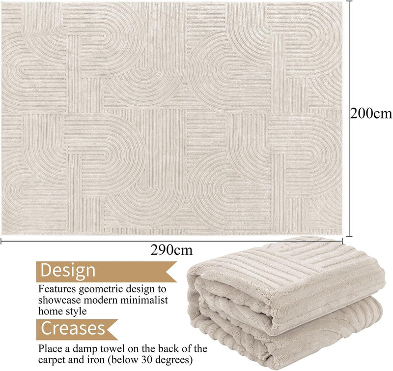 Large Rugs for Living Room Fluffy Short Pile