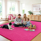 Large Rugs for Living Room Ultra Soft Fluffy