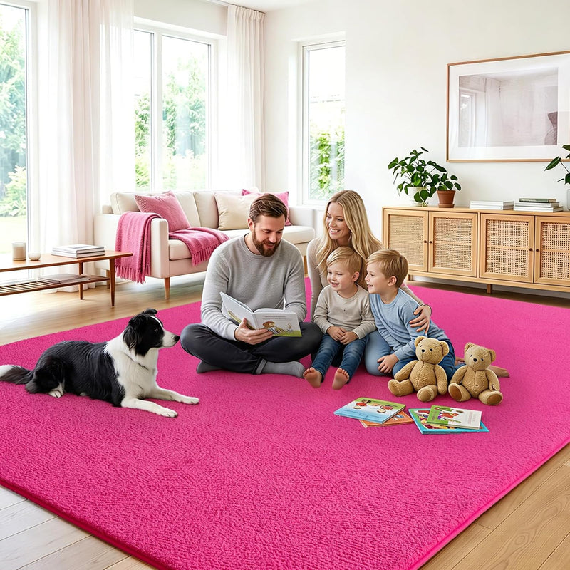 Soft Washable Rugs for Living Room Fluffy
