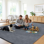 Large Rugs for Living Room Ultra Soft Fluffy