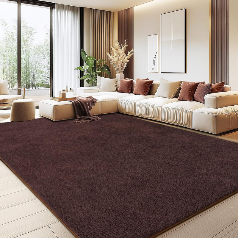 Soft Washable Rugs for Living Room Fluffy