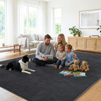 Large Rugs for Living Room Ultra Soft Fluffy