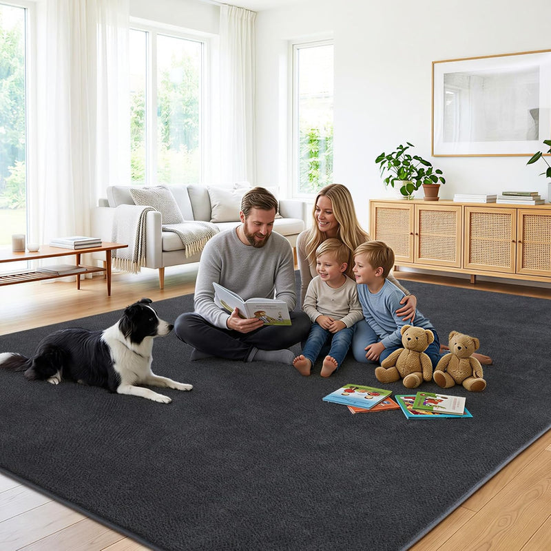 Soft Washable Rugs for Living Room Fluffy