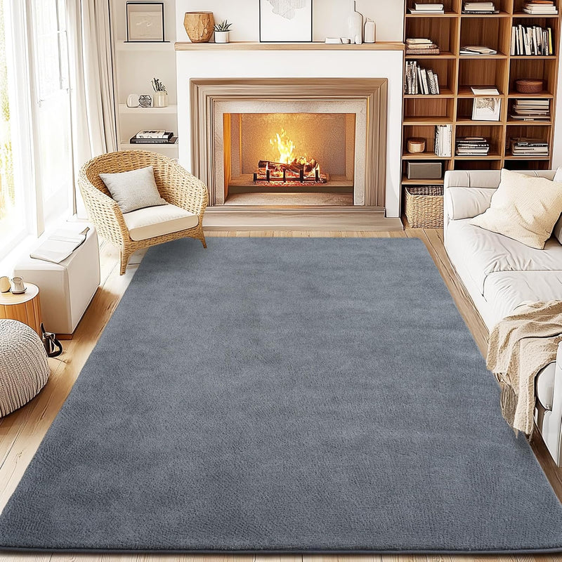 Soft Washable Rugs for Living Room Fluffy