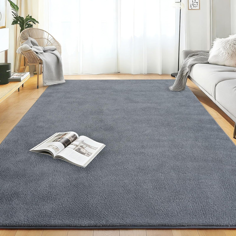 Soft Washable Rugs for Living Room Fluffy