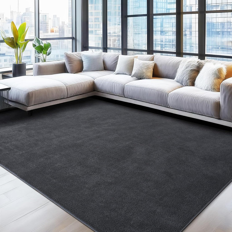 Soft Washable Rugs for Living Room Fluffy