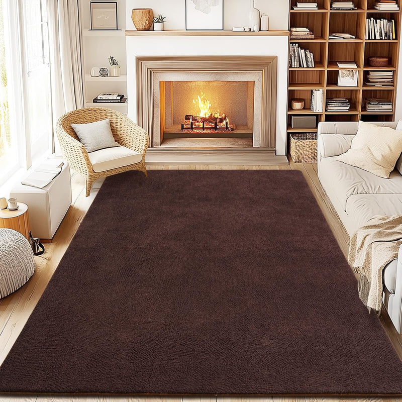 Soft Washable Rugs for Living Room Fluffy