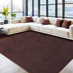 Large Rugs for Living Room Ultra Soft Fluffy