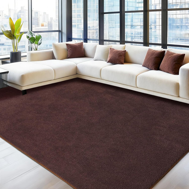 Soft Washable Rugs for Living Room Fluffy