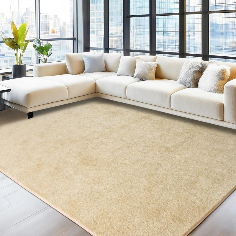 Soft Washable Rugs for Living Room Fluffy