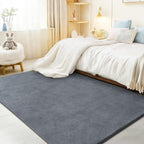 Large Rugs for Living Room Ultra Soft Fluffy