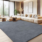 Large Rugs for Living Room Ultra Soft Fluffy
