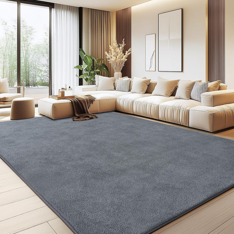 Soft Washable Rugs for Living Room Fluffy