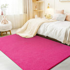 Large Rugs for Living Room Ultra Soft Fluffy