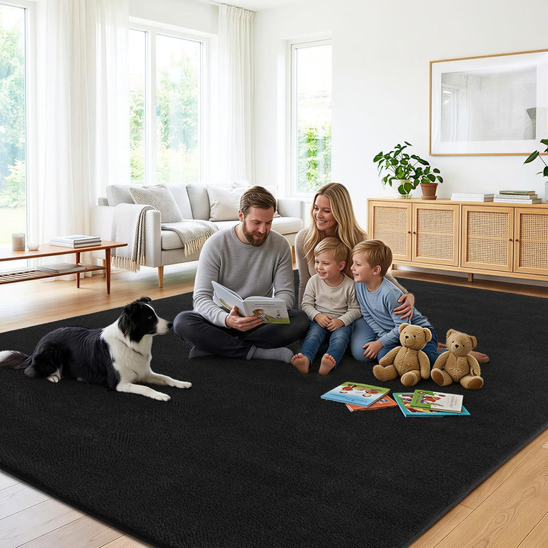 Soft Washable Rugs for Living Room Fluffy