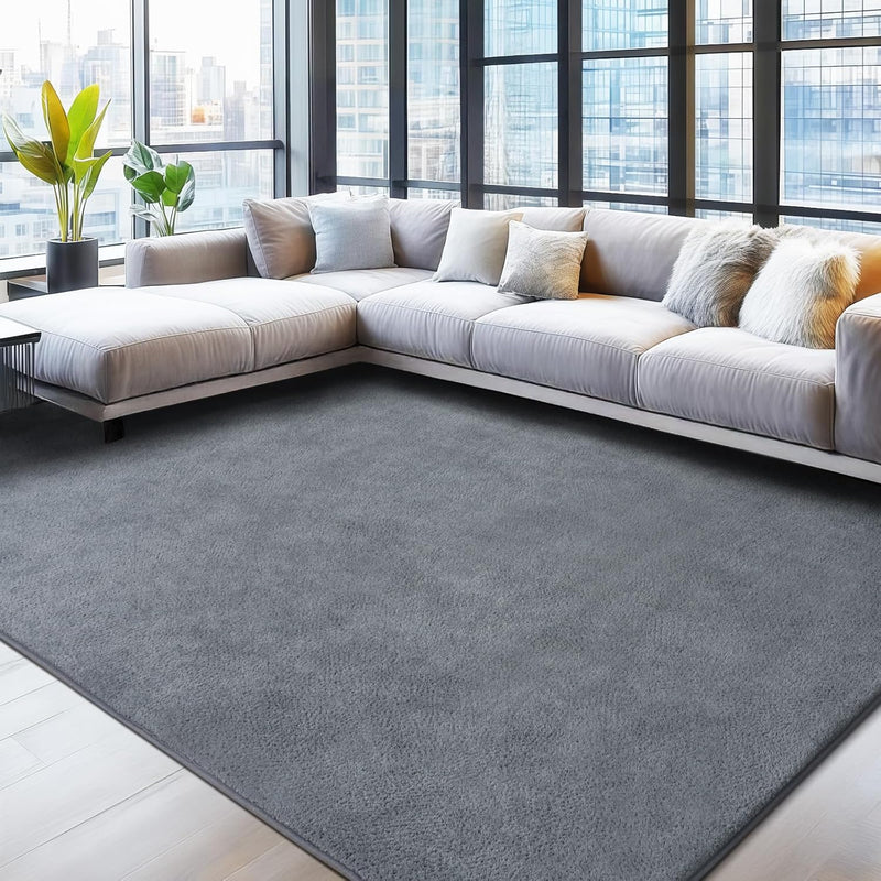 Soft Washable Rugs for Living Room Fluffy