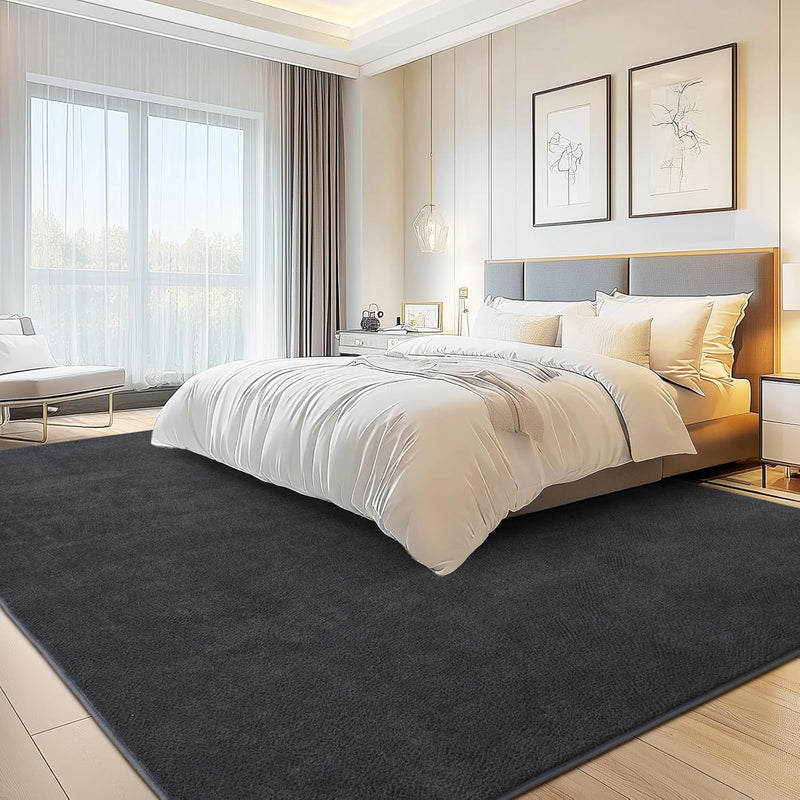 Soft Washable Rugs for Living Room Fluffy