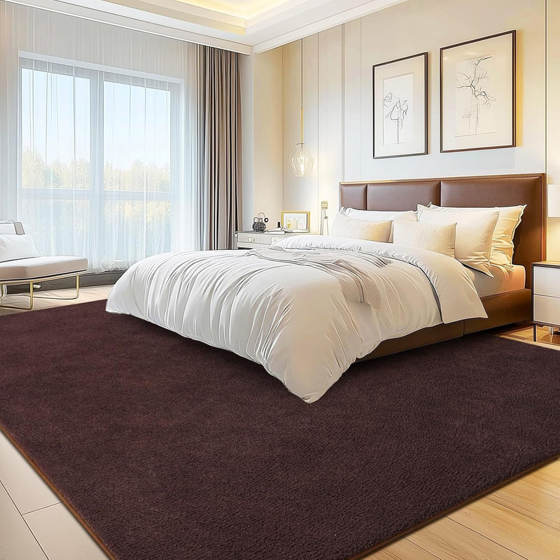 Soft Washable Rugs for Living Room Fluffy