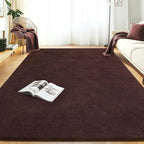 Large Rugs for Living Room Ultra Soft Fluffy