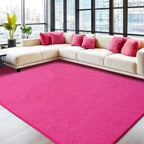 Large Rugs for Living Room Ultra Soft Fluffy