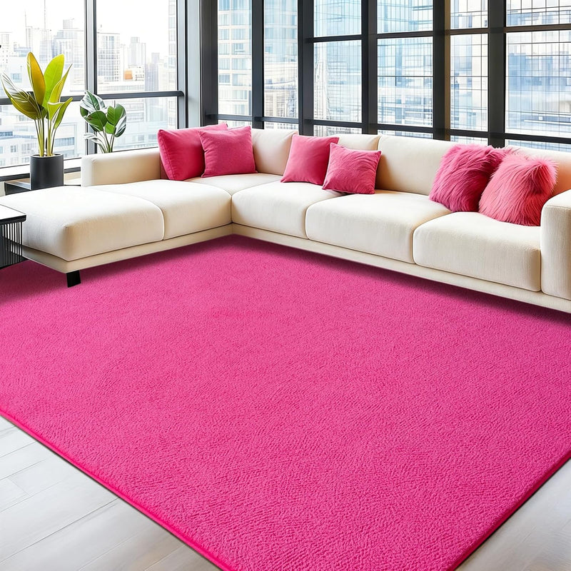 Soft Washable Rugs for Living Room Fluffy