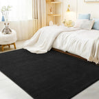 Large Rugs for Living Room Ultra Soft Fluffy