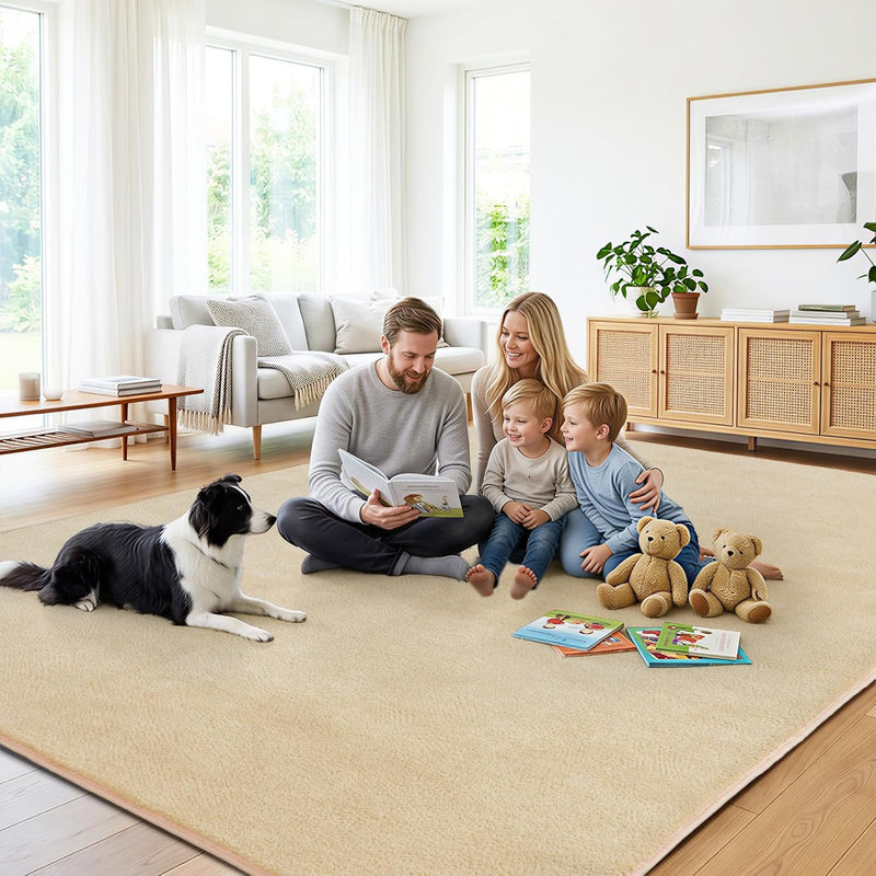 Soft Washable Rugs for Living Room Fluffy