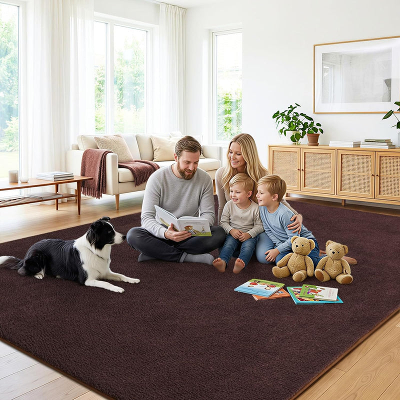 Soft Washable Rugs for Living Room Fluffy