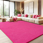 Large Rugs for Living Room Ultra Soft Fluffy