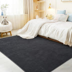 Large Rugs for Living Room Ultra Soft Fluffy