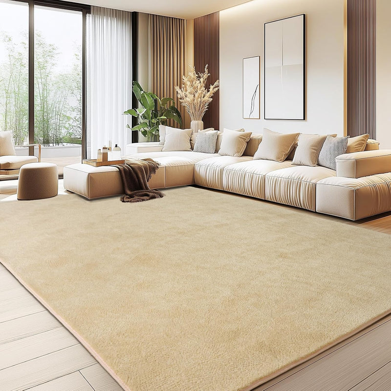 Soft Washable Rugs for Living Room Fluffy