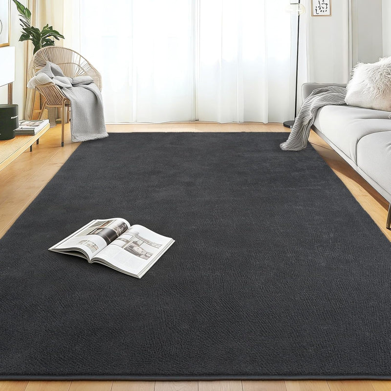 Soft Washable Rugs for Living Room Fluffy