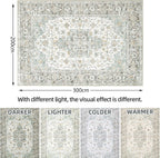 Large Rugs for Living Room Vintage Washable