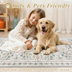 Large Rugs for Living Room Washable Area