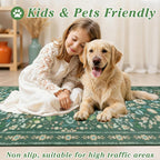 Large Rugs for Living Room Washable Area