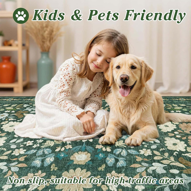 Large Rugs for Living Room Washable Area