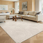 Large Rugs Living Room