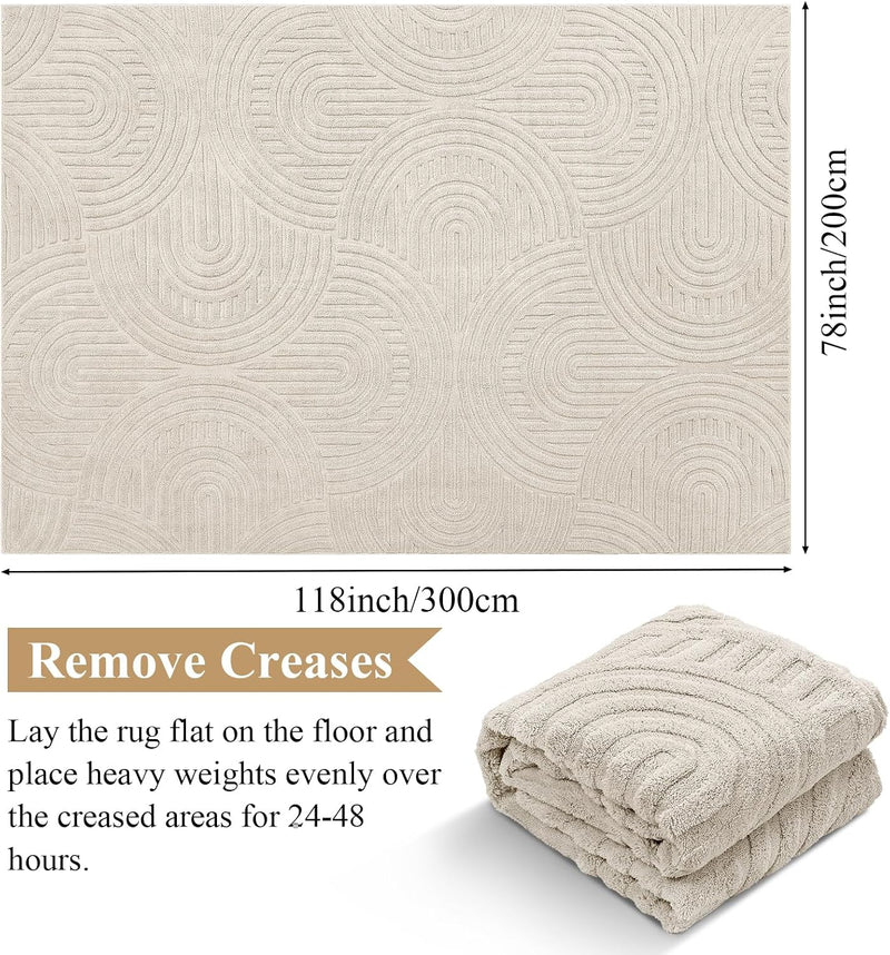 Large Rugs Living Room